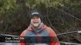 Bottom Bouncing Technique