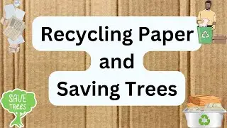 10 lines on Recycling Paper and Saving Trees | few lines on Recycling Paper and Saving Trees | essay