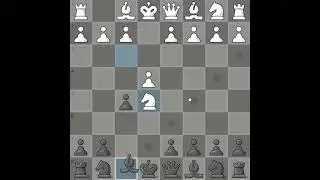#chess Gambit Łotewski