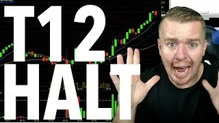 ДНЕВНАЯ ТОРГОВЛЯ T12 ОСТАНОВЛЕНА! $LFIN SEC ЗАМОРОЗЕН!!!