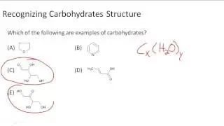Recognizing the structure of carbohydrates