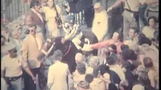 Secretariat - 1973 Belmont Stakes (G1) - Winner's Circle