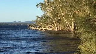 Mungo Brush Campground, New South Wales