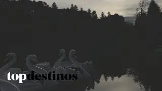 KUROTEL - PARTE 2