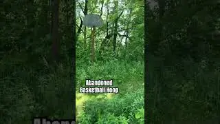 Abandon Basketball Hoop by the River #abandoned #wtf #woods #forest #hiking #trails #nature #river