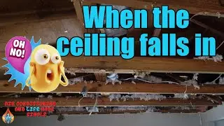 Ceiling Falling In, Sweaty Ducts