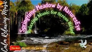 Springtime Meadow by NaturesEye  ~  Relaxing Music for Stress Relief