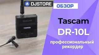 Tascam DR-10L. Обзор самого маленького профессионального рекордера.