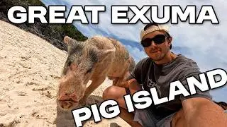 Bahamas Trip Part 3 | Exploring The Great Exuma, Swimming With Pigs & More!