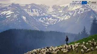 Close to the sun: sheep breeding traditions