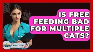 Is Free Feeding Bad For Multiple Cats? - Ask A Pet Vet