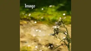 Principio