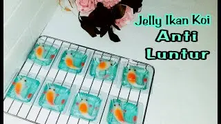 Cara Membuat Puding Ikan Koi Anti Luntur | Ide Jualan Jelly Ikan Koi | Dapoer D'Sister