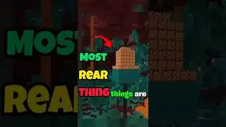 You Will NEVER Find These Rare Minecraft Structures 🤯