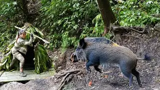 Wild boars attack the hiding places, set traps, and catch them.Linh T&acirc;n Building survival 