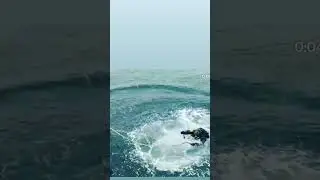 #offshore #sea #diving #ship #divingboard #scubadiving #status #shortvideo #youtube #dive