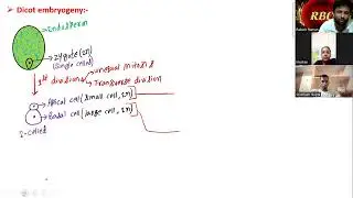 L-80=Embryogeny