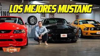 Hicimos un museo de puro Mustang
