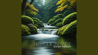 The Flow of Tranquil Souls