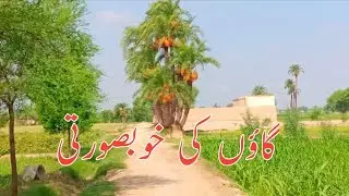Beauty of village|Village life dailyvliog daily life routine RizwanVilogs10