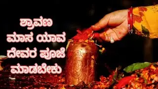 Sharavana Maasa.. 🧚🌦️🧚&zwj;♂️ #wisdom explorer 