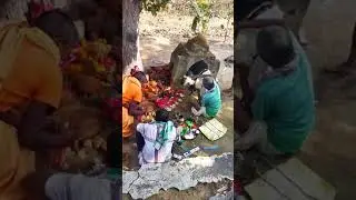 demul puja sardhapali new jhasaketan vlog video #jhasaketan