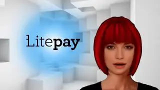 LITEPAY- Credit Cards Hostile Ahead Of Processor Launch.