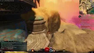 Guild Wars 2 (Dive Master) - Rilohn Falls (Jahai Bluffs)
