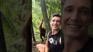 🦧 Orangutan Jungle Trek in Sumatra &ndash; Wild Encounters in Mt. Leuser National Park! 🌿