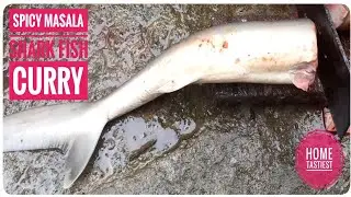 Amazing Spicy Masala Shark Fish Curry | masala fish recipe | fish curry recipe