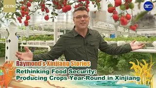 Rethinking food security: Producing crops year-round in Xinjiang