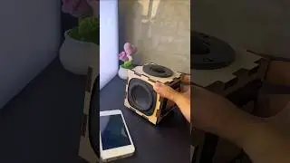 Amazing passive radiator bass, DIY speaker