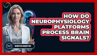 How Do Neurophysiology Platforms Process Brain Signals?