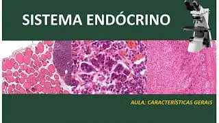Aula - Histologia do Sistema Endócrino (Parte I - Características Gerais)