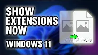 How To Display File Extension in Windows 11? | How to Show File Extensions in Windows 11?