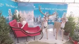 Whitehall Garden Centre. christmas display 2017