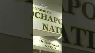 Ochapowace Nation enacts emergency dog control bylaw