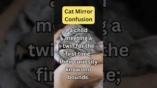PurrfectGlimpses #CatFacts#PawsomeFacts#WhiskerWisdom#CatsOfKnowledge#MeowFacts#KittyTrivia