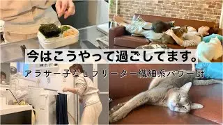 肩書きバグ💁🏻‍♀️ひたすら猫とチョコを摂取する🍫