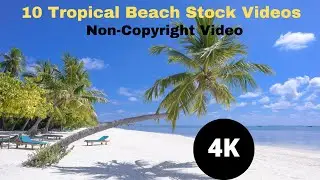 Top 10 Free Tropical Beach Stock Videos | Royalty- Free Videos | HD Video | 4K Video | Non-Copyright