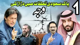 THE STORY OF IMRAN KHAN AND Mohammed Bin Salman | MBS | BY JAVED CHAUDHRY | COLUMN | PISTA POINT