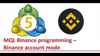 MQL Binance programming &ndash; Binance account mode