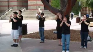 West Coast STP 2012 Video