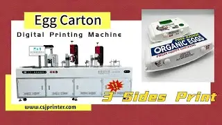 Digital direct print on 3 sides of egg carton CSJ A5210JD 3 Sides Egg Carton Printing Machine