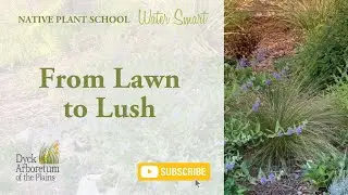 Lawn to Lush with Katie Schmidt