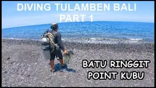 TULAMBEN DIVING , Batu Ringgit Point (Part 1)