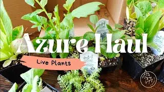 Azure Standard Haul | Live Plants