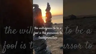 The Fool&rsquo;s Secret #peace #beach #jordanpeterson #sunrise #florida #philosophy