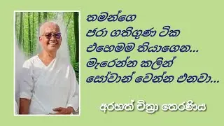 මේ ජීවිතේත් සැනසීමෙන් ඉඳල..දිගින් දිගට යන උපත මරණයෙන් නිදහස් වෙන්නත්  මග- Arahath Chithra Theraniya