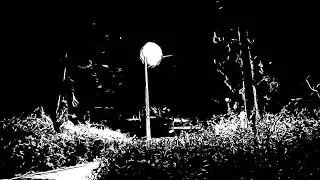Milan Gudzik - bats